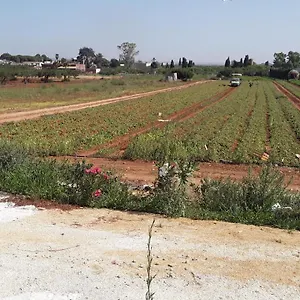 Affittacamere La Campagnola Locogrande